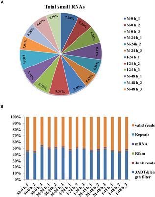 Integrated Analysis of MicroRNA and Target Genes in Brachypodium distachyon Infected by Magnaporthe oryzae by Small RNA and Degradome Sequencing